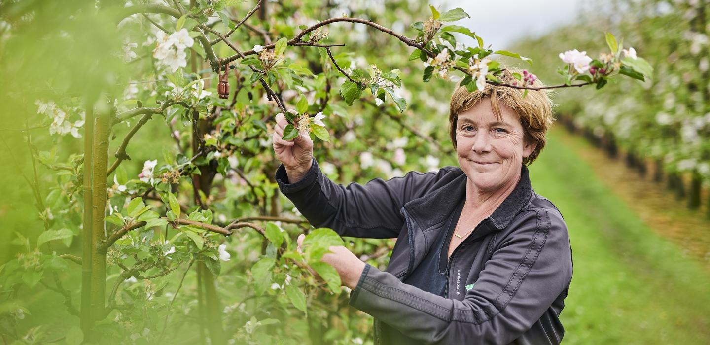 Apple Torenhof