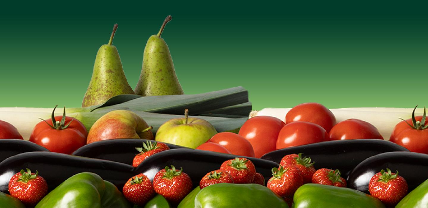 Belgian fruits and vegetables