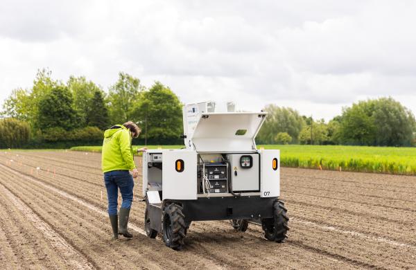 Des robots dans les champs