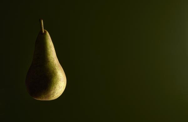 Conference pear