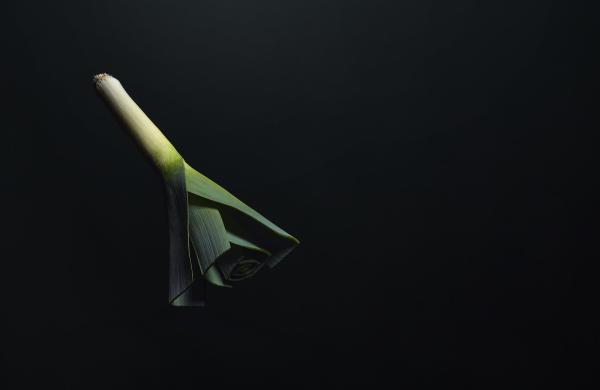 Leek