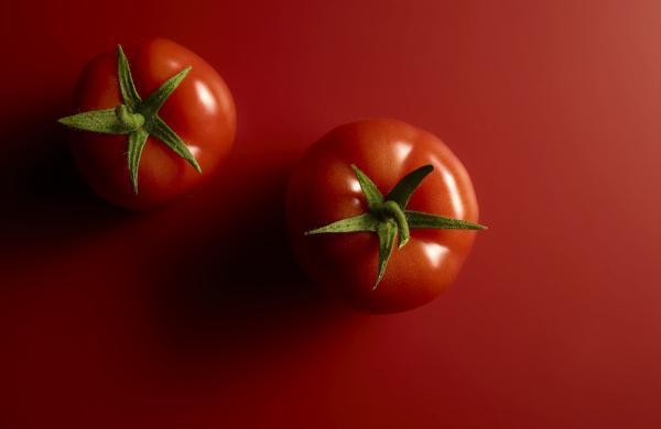 Tomato