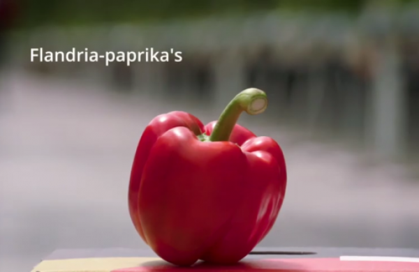 Flandria paprika's