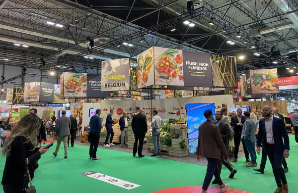 Fruit attraction