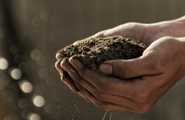 Soil management