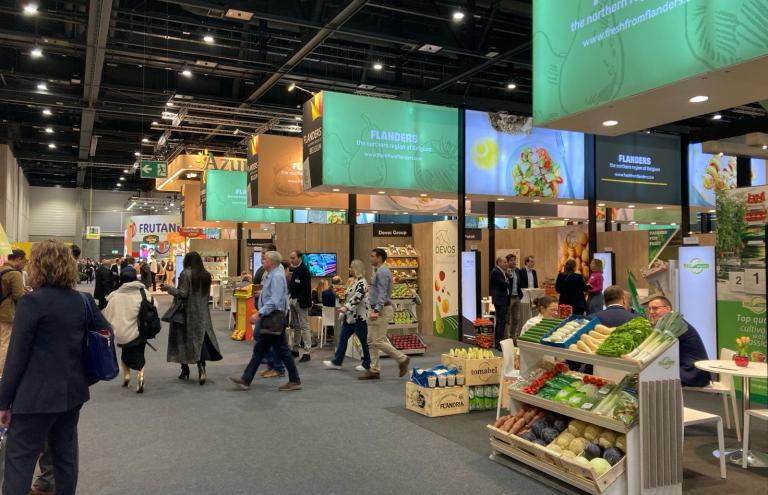 Trade Fair report Fruit Logistica 2024