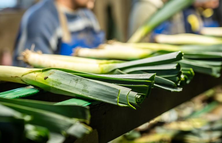 Leeks Jurgen De Roo Leeks Jurgen De Roo