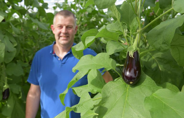 Jurgen Franco - aubergines Jurgen Franco - aubergines