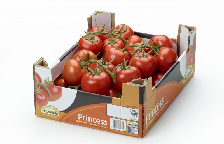 Tomates Princess Tomates Princess