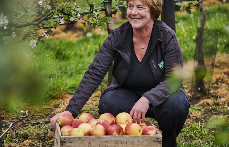 Apple Torenhof Apple Torenhof