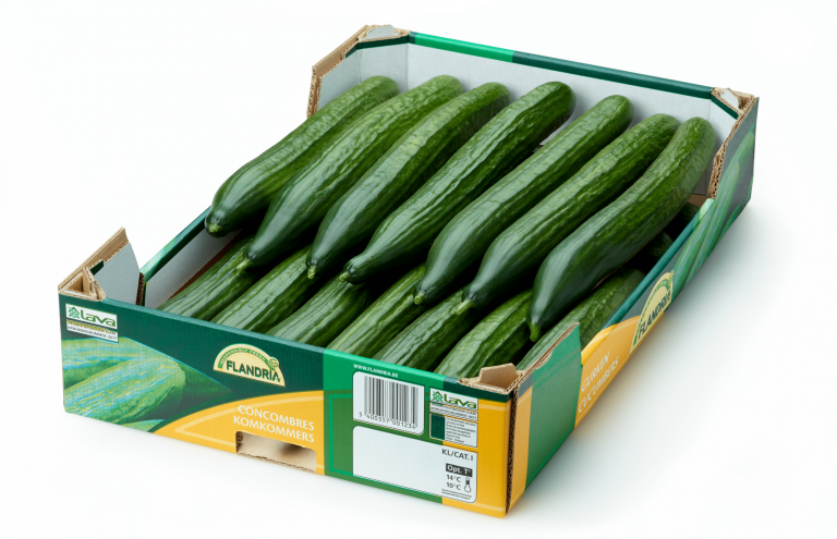 Cucumber box Cucumber box