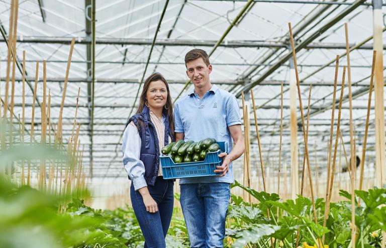 Courgette Louis Viaene