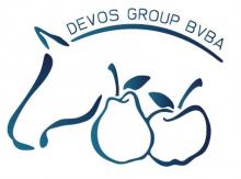 DEVOS GROUP