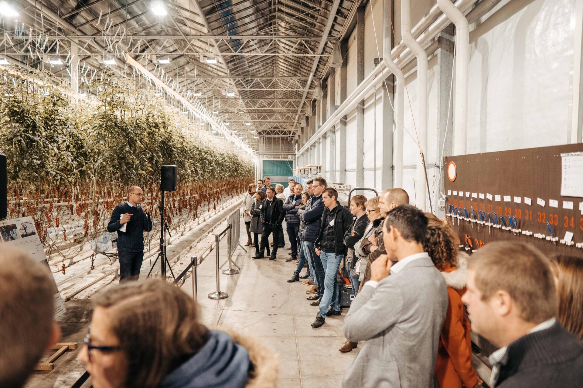 REO Pop-up verwelkomt de toekomstige producenten REO Pop-up verwelkomt de toekomstige producenten